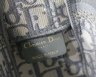 ٻҾ6 ͧԹ : Dior Small Diorcamp bag(Ori)